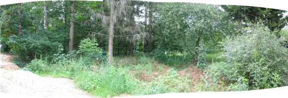 garten pano